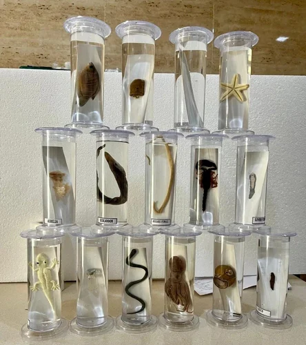 Biology Lab